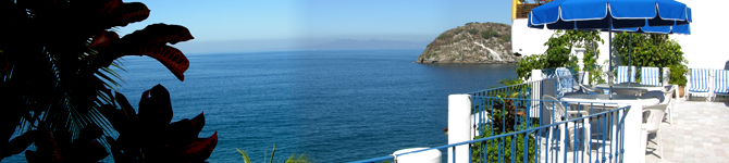 Villa Delfin